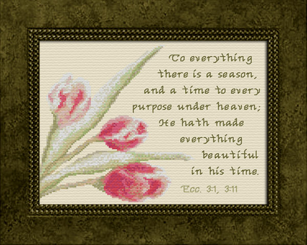 Beautiful In His Time - Ecclesiastes 3:1 and 3:11